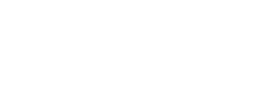 Dzine Digital LLC